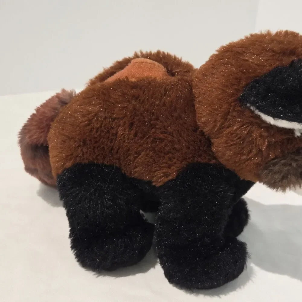 Teddy Mountain 